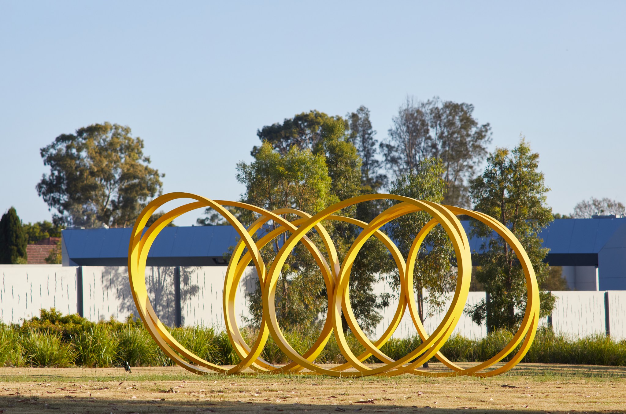 Daniel Templeman, Eight Rings, 2020 3