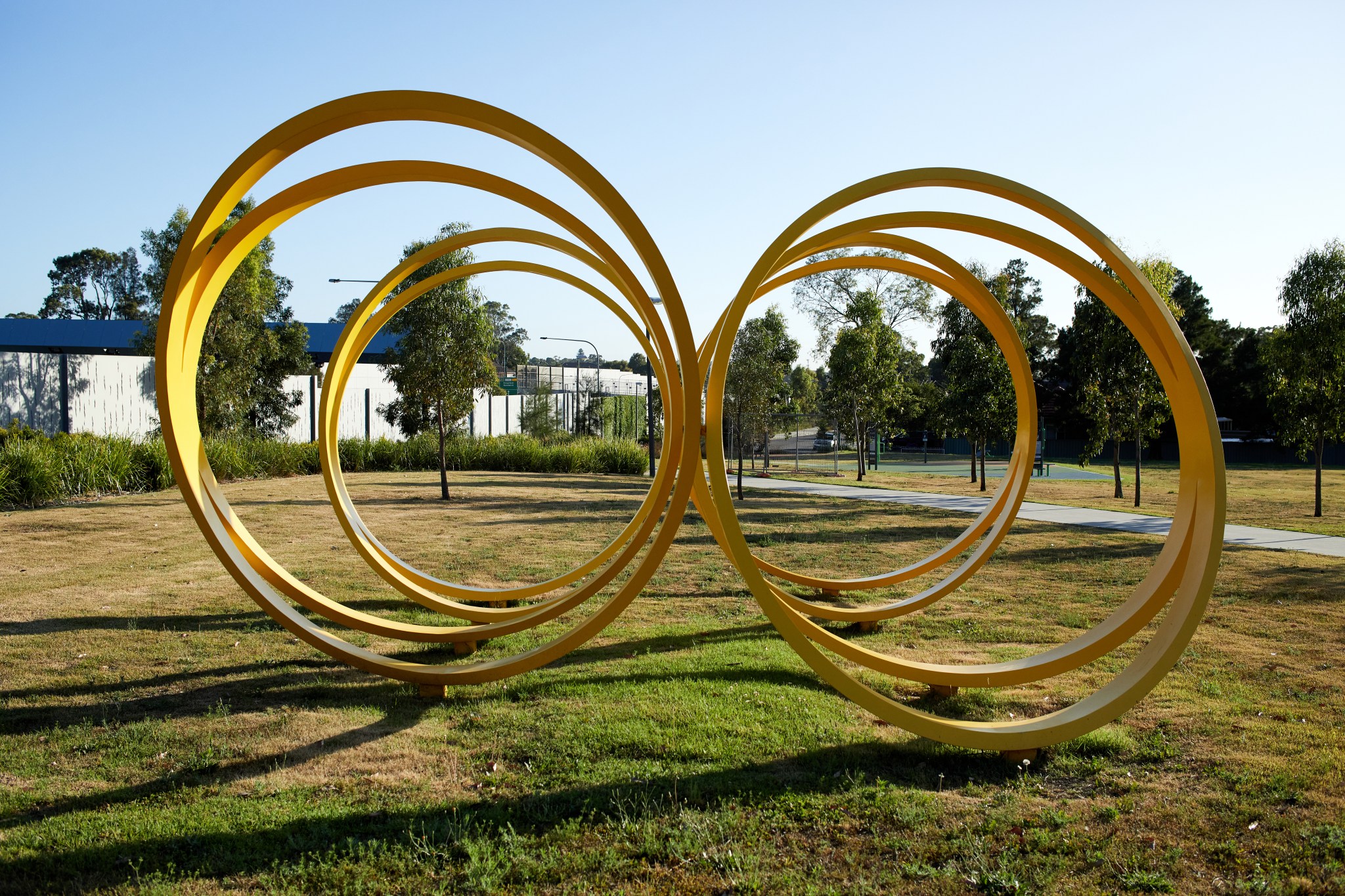 Daniel Templeman, Eight Rings, 2020 5